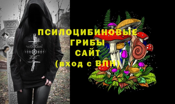 дмт Алексин