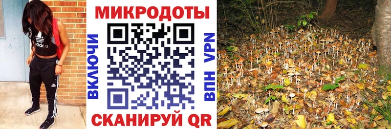Галлюциногенные грибы MAGIC MUSHROOMS  MEGA ссылка  Мичуринск  как найти закладки 