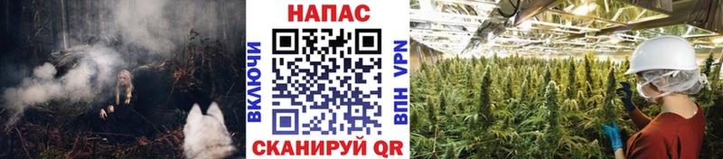 Бошки марихуана THC 21%  дарнет шоп  Мичуринск 
